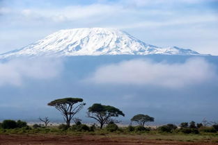 非洲第一高峰乞力马扎罗山的海拔有多高