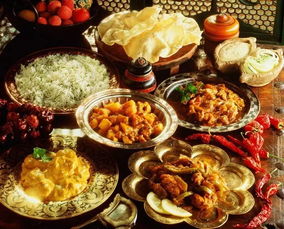 关于印度美食的介绍